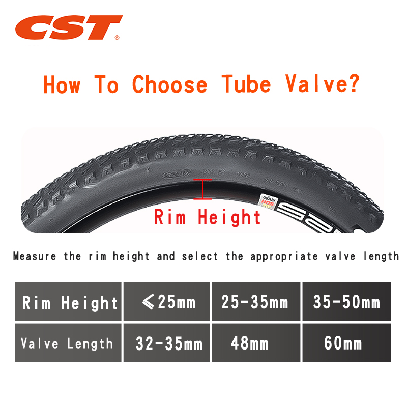 2 Buah Tabung Dalam Sepeda CST - Inner Tube 700C ulasan dan harga